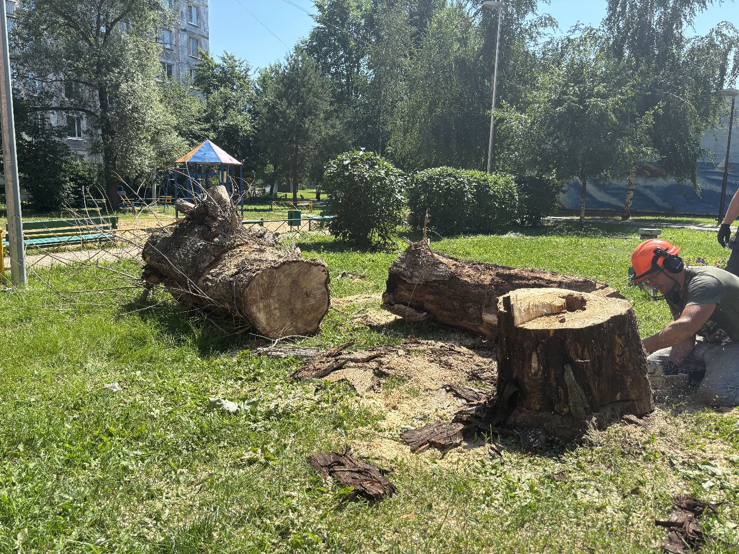 сухостои, мбу благоустройство,Кучино,