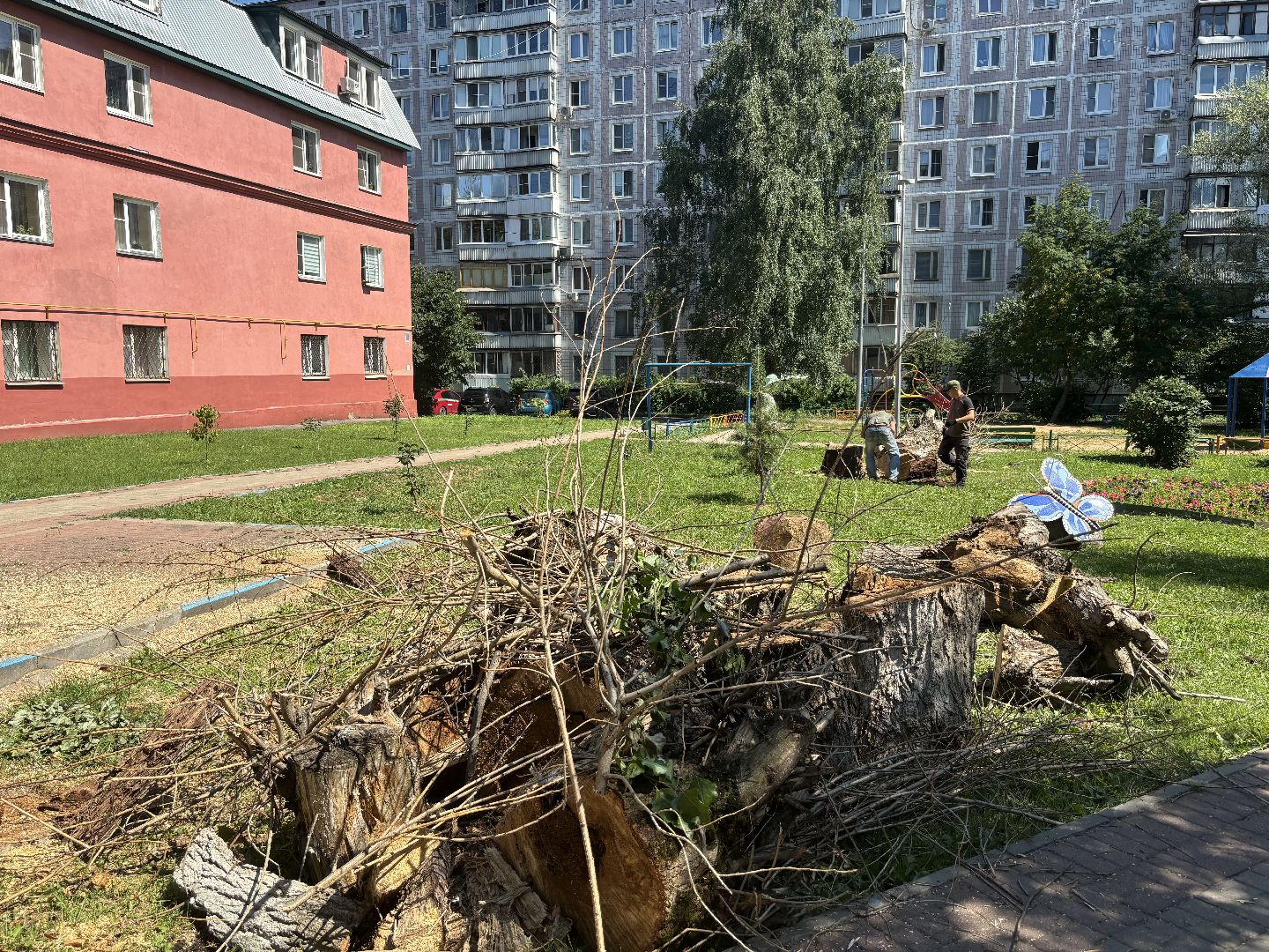 сухостои, мбу благоустройство,Кучино,