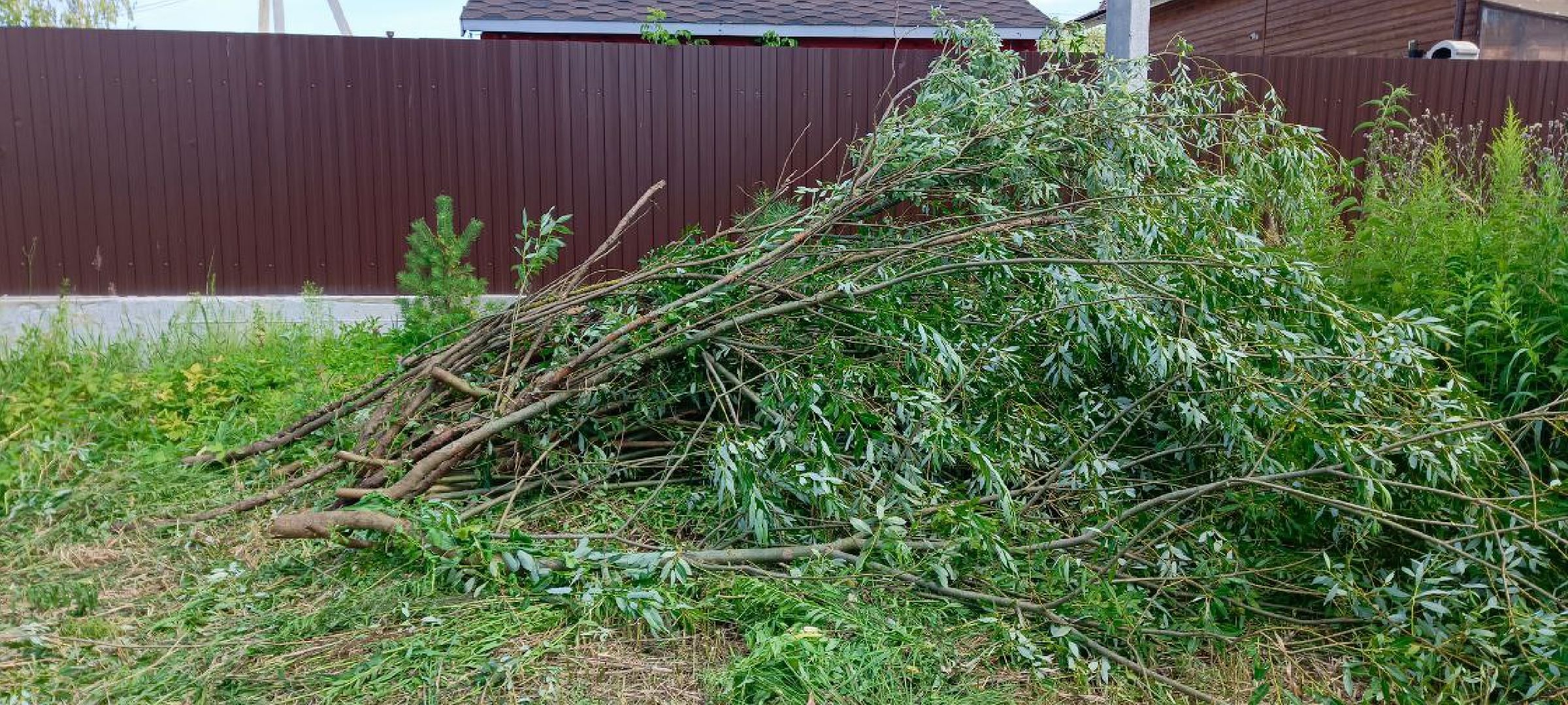 Дмитров, 100 прудов и озер, Минблаго,