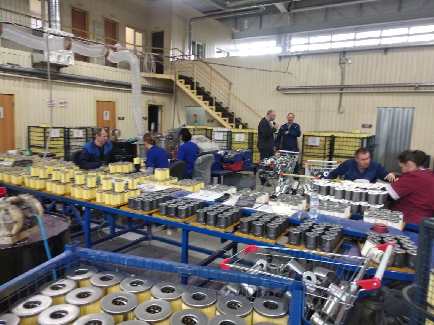 Дмитров, ДУПП, Минсоцразвития