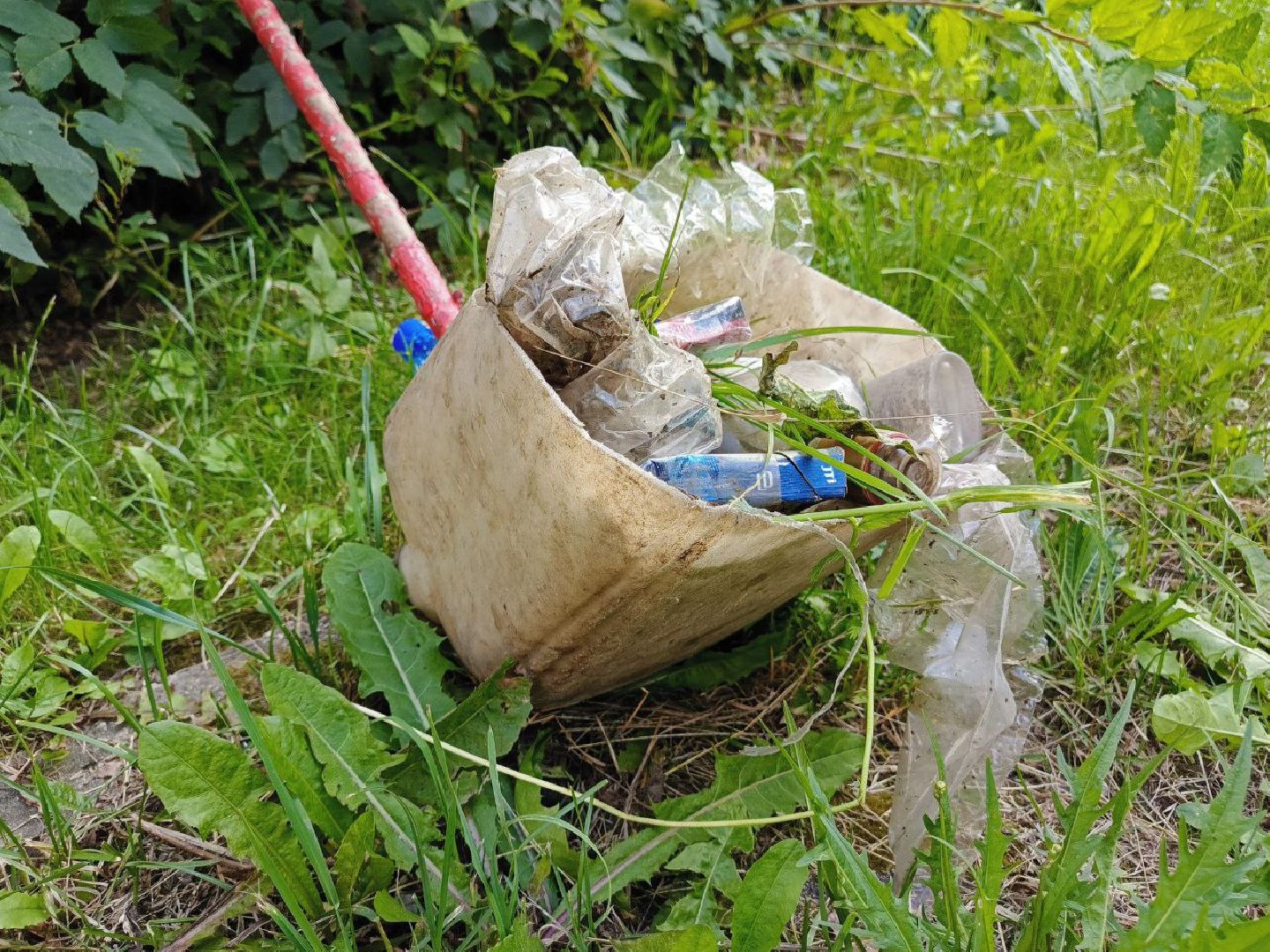 Солнечногорск, Уборка двора, Покос травы, Детская площадка, Жители,