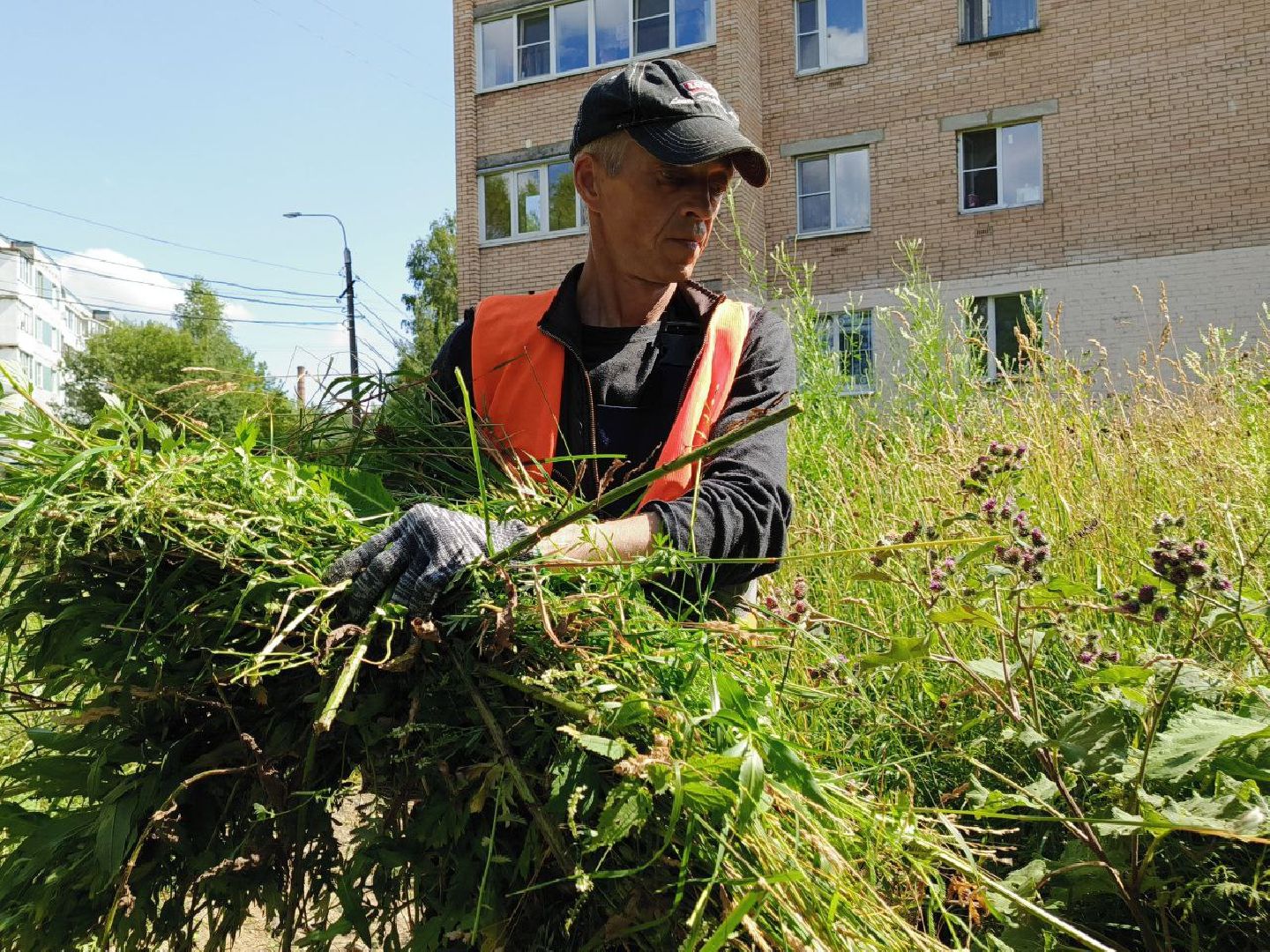 Солнечногорск, Уборка двора, Покос травы, Детская площадка, Жители,