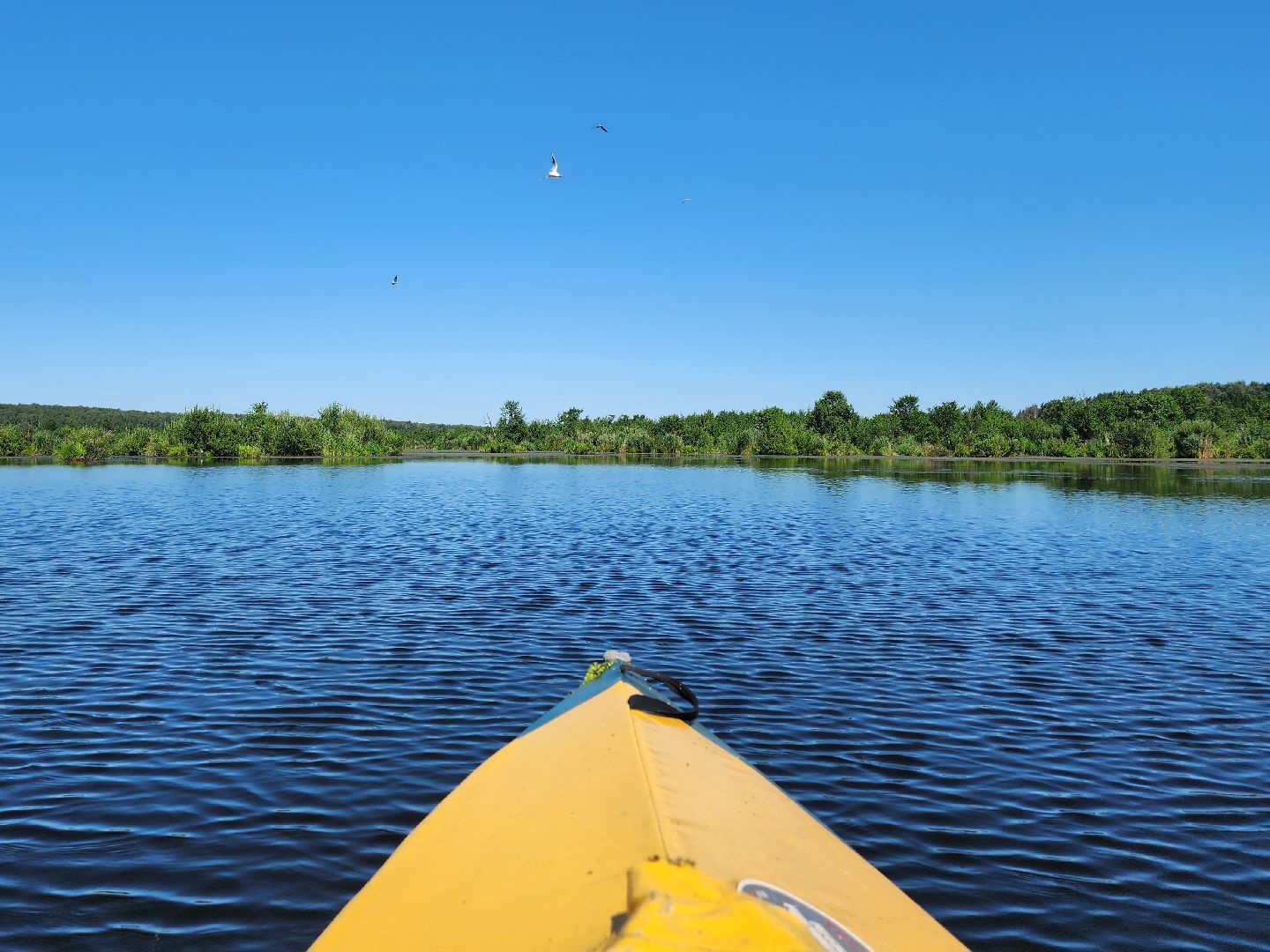 лосиный остров, байдарки, Экскурсия,