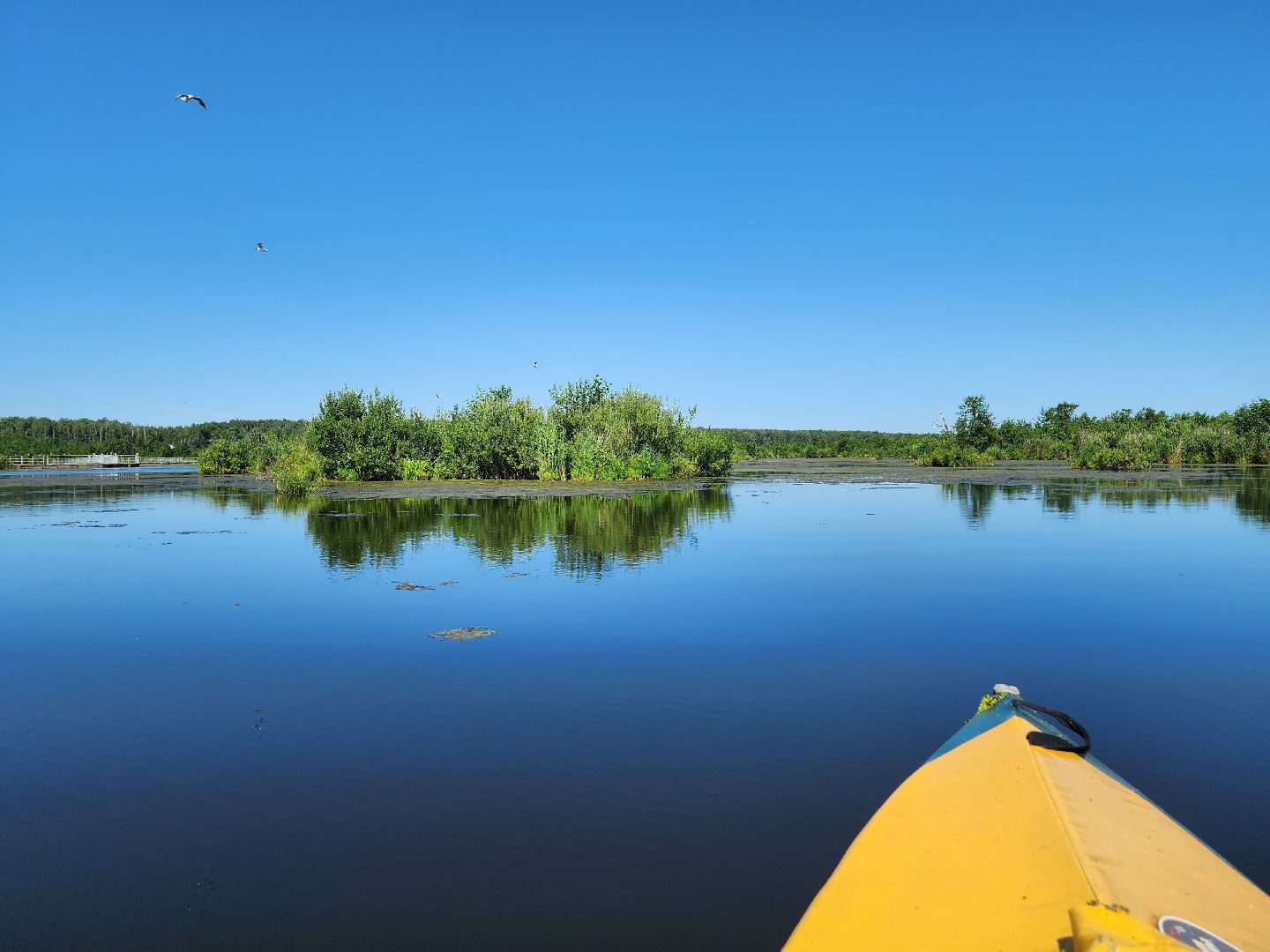 лосиный остров, байдарки, Экскурсия,