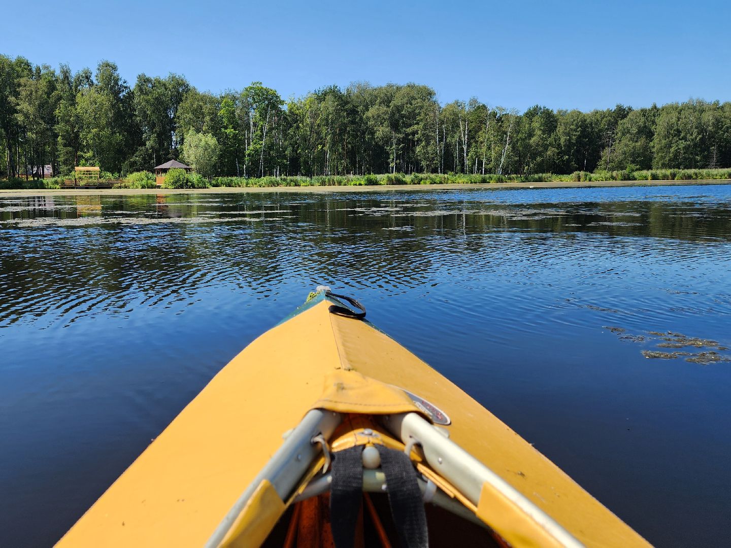 лосиный остров, байдарки, Экскурсия,