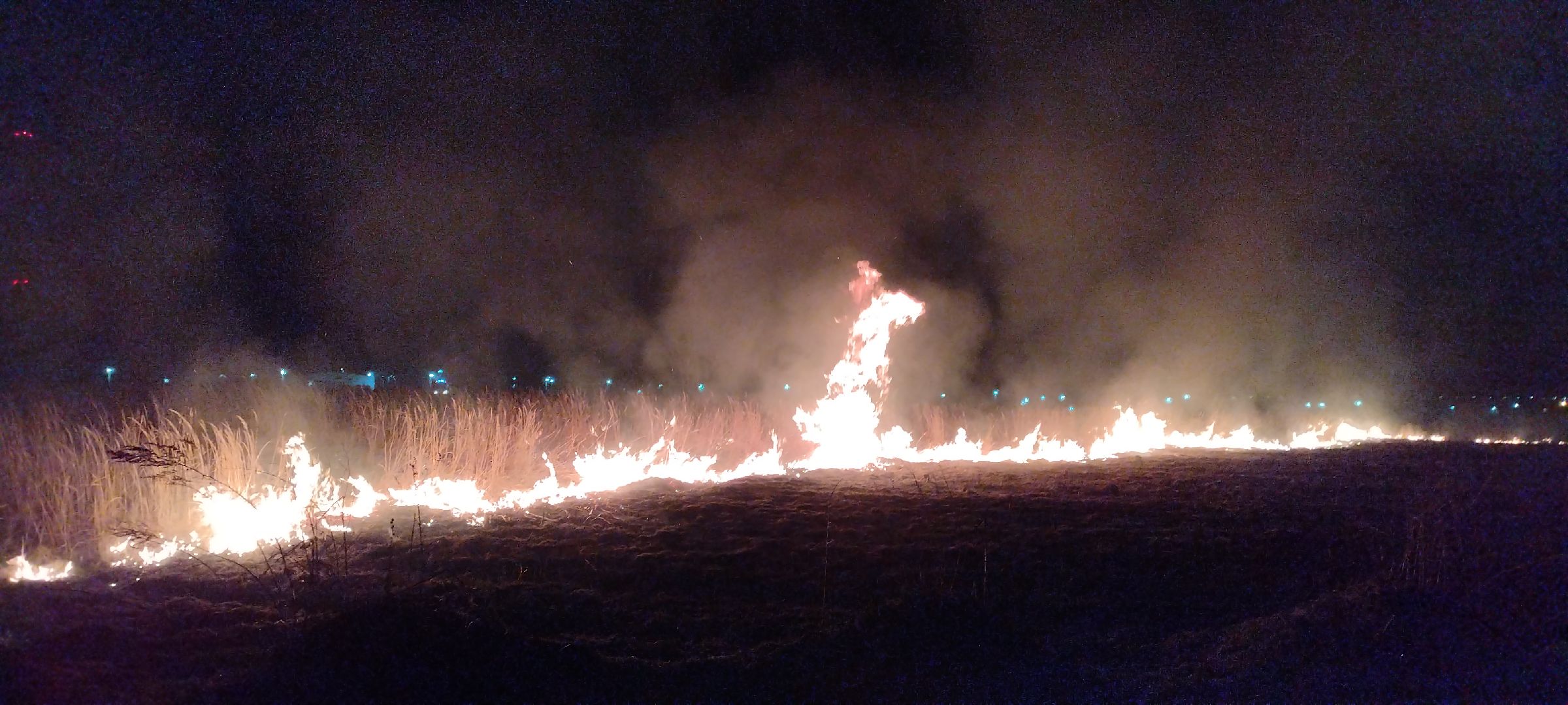 Пал, трава, возгорание