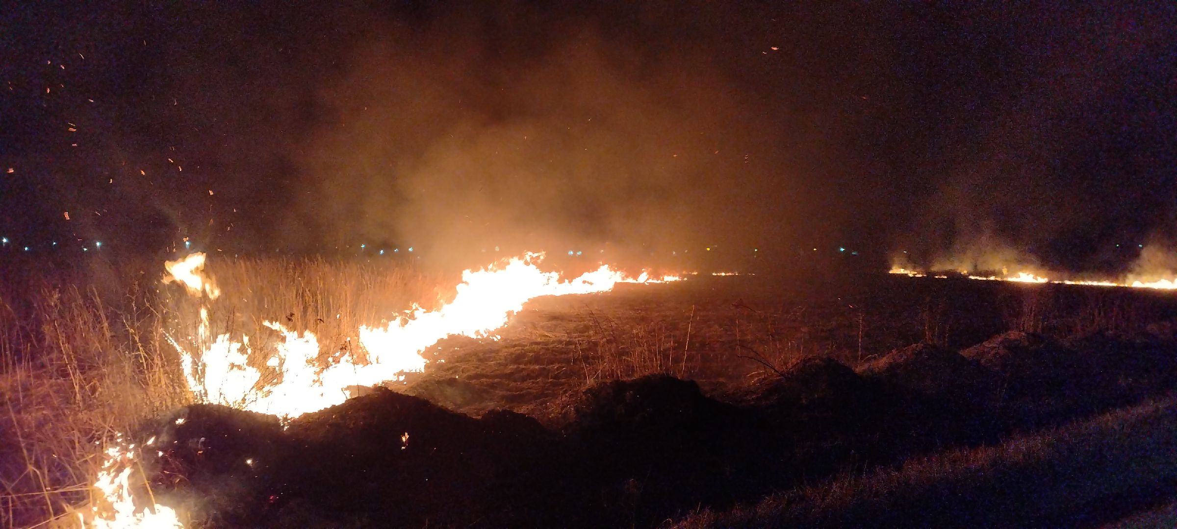 Пал, трава, возгорание