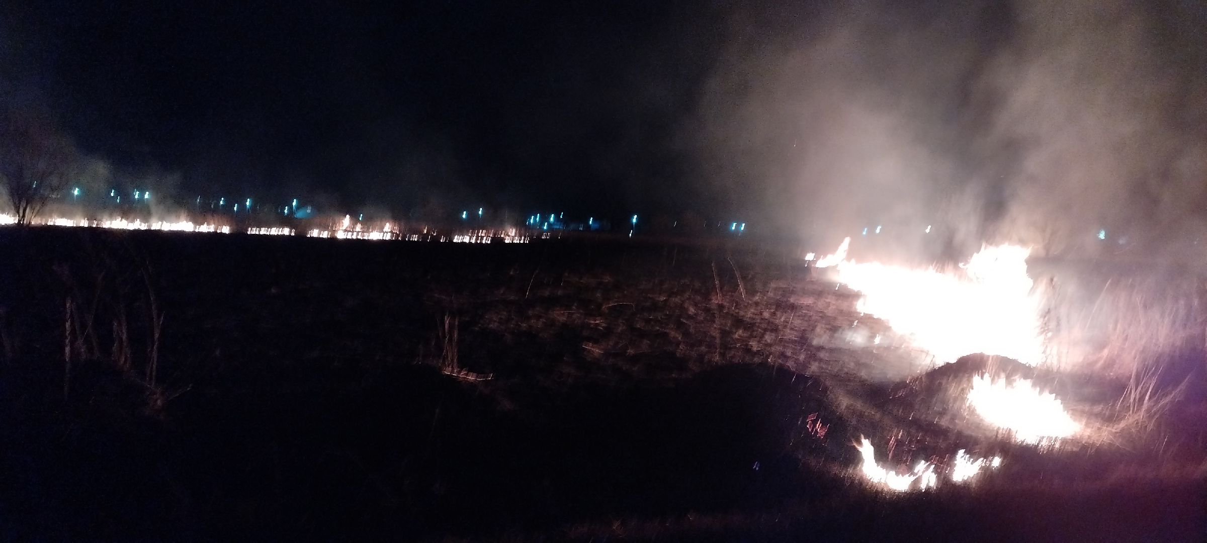 Пал, трава, возгорание