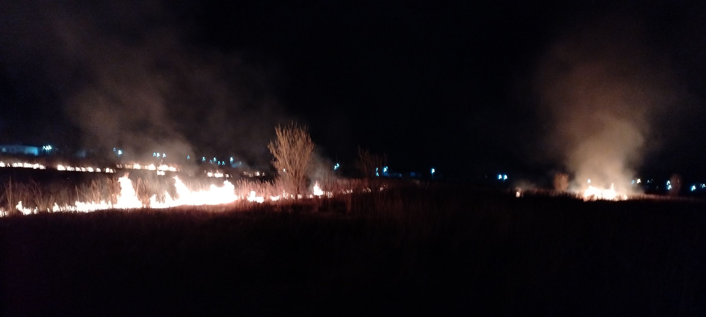 Пал, трава, возгорание