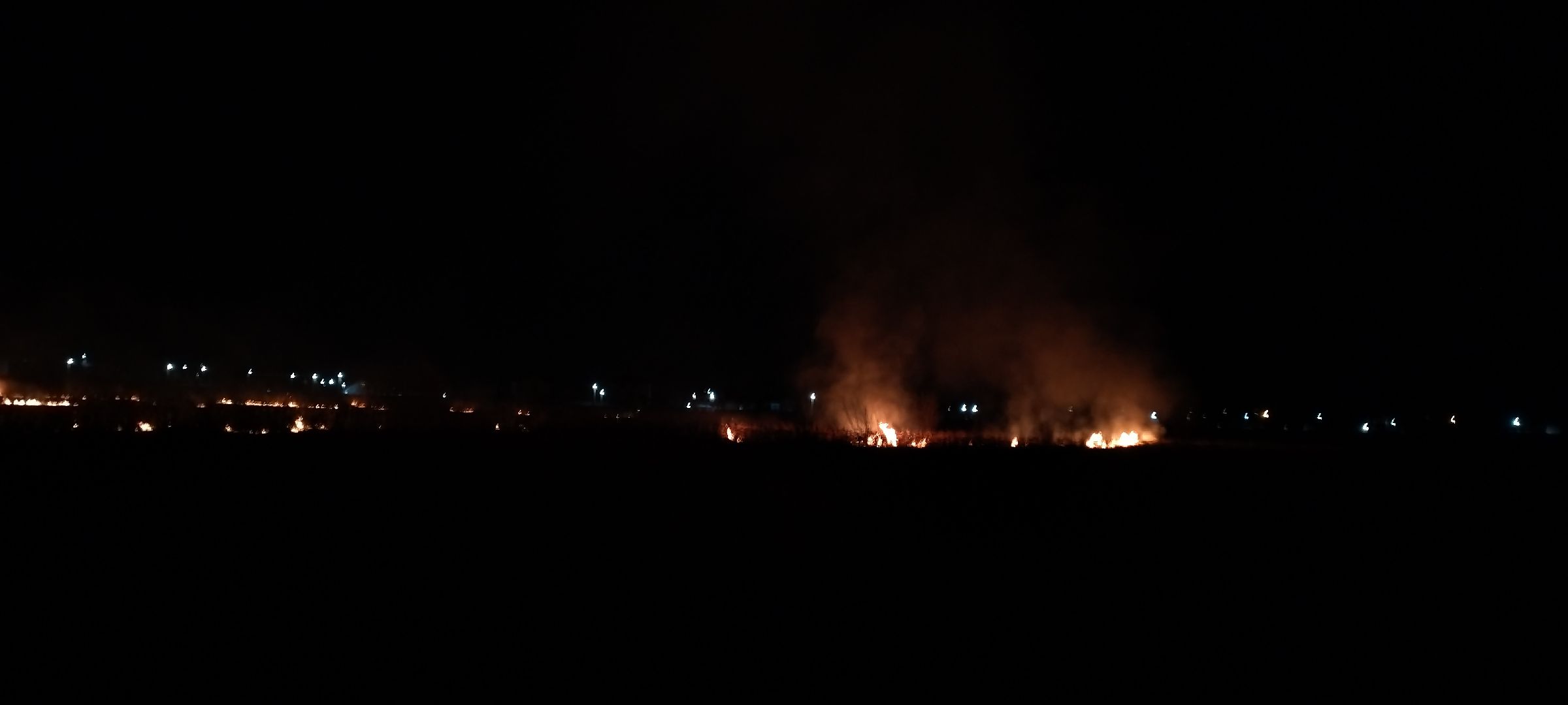 Пал, трава, возгорание