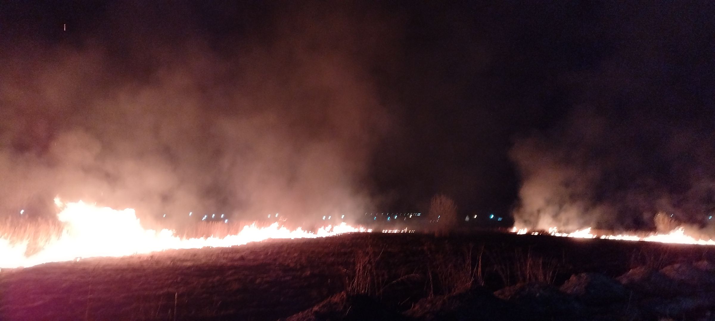 Пал, трава, возгорание