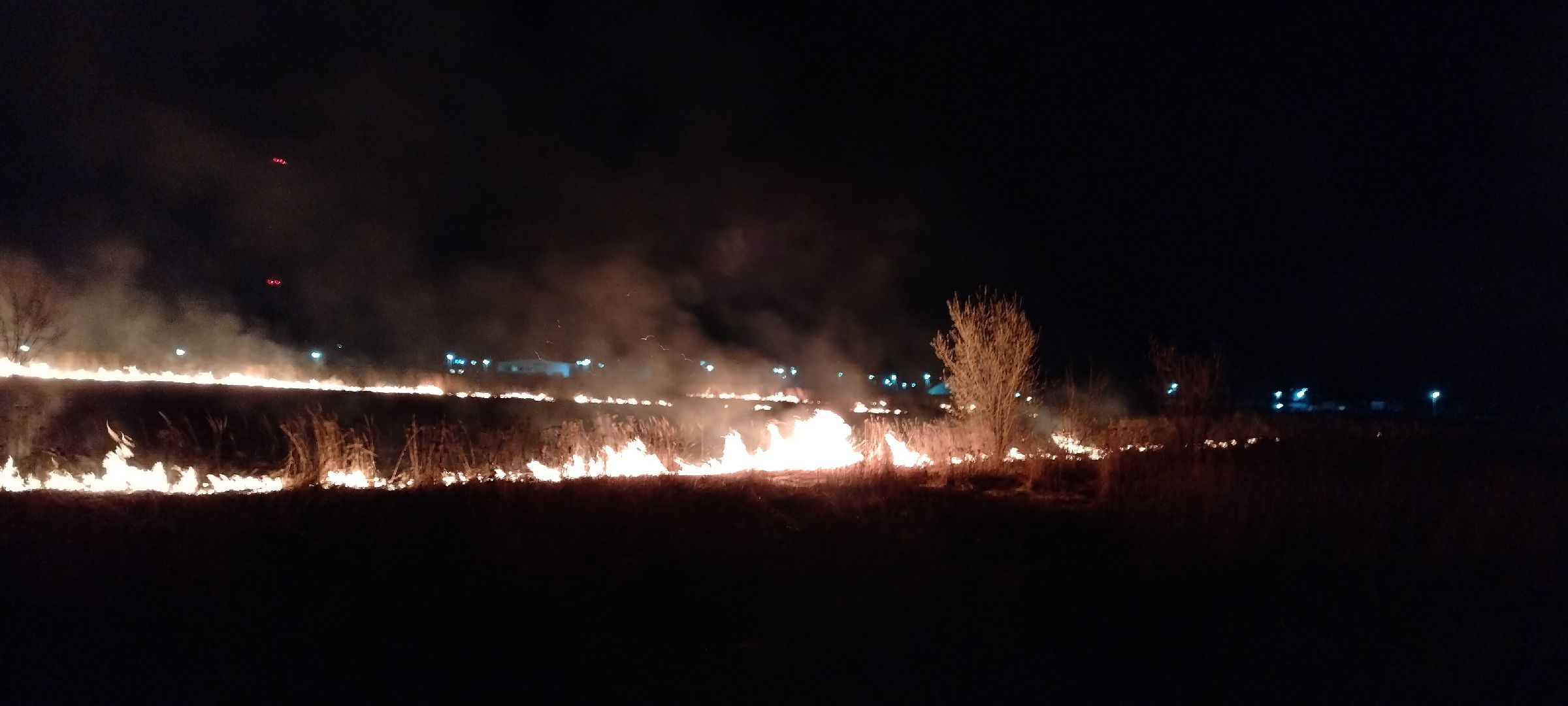 Пал, трава, возгорание