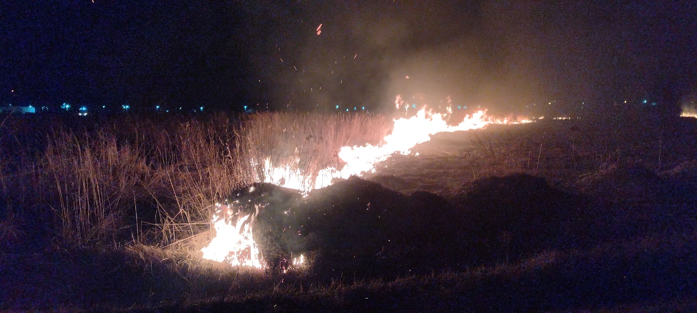 Пал, трава, возгорание