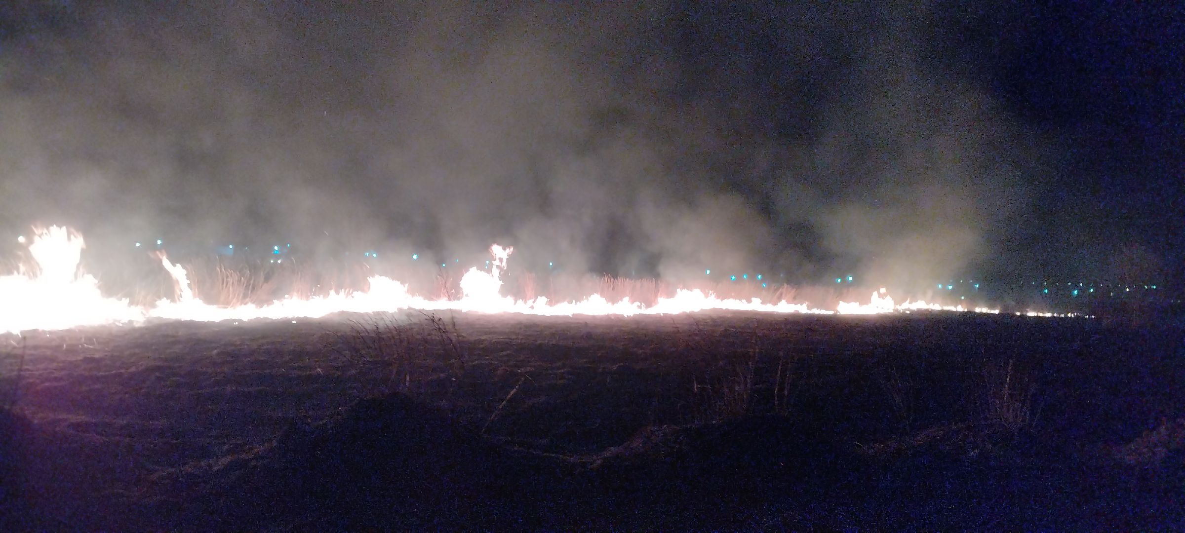 Пал, трава, возгорание