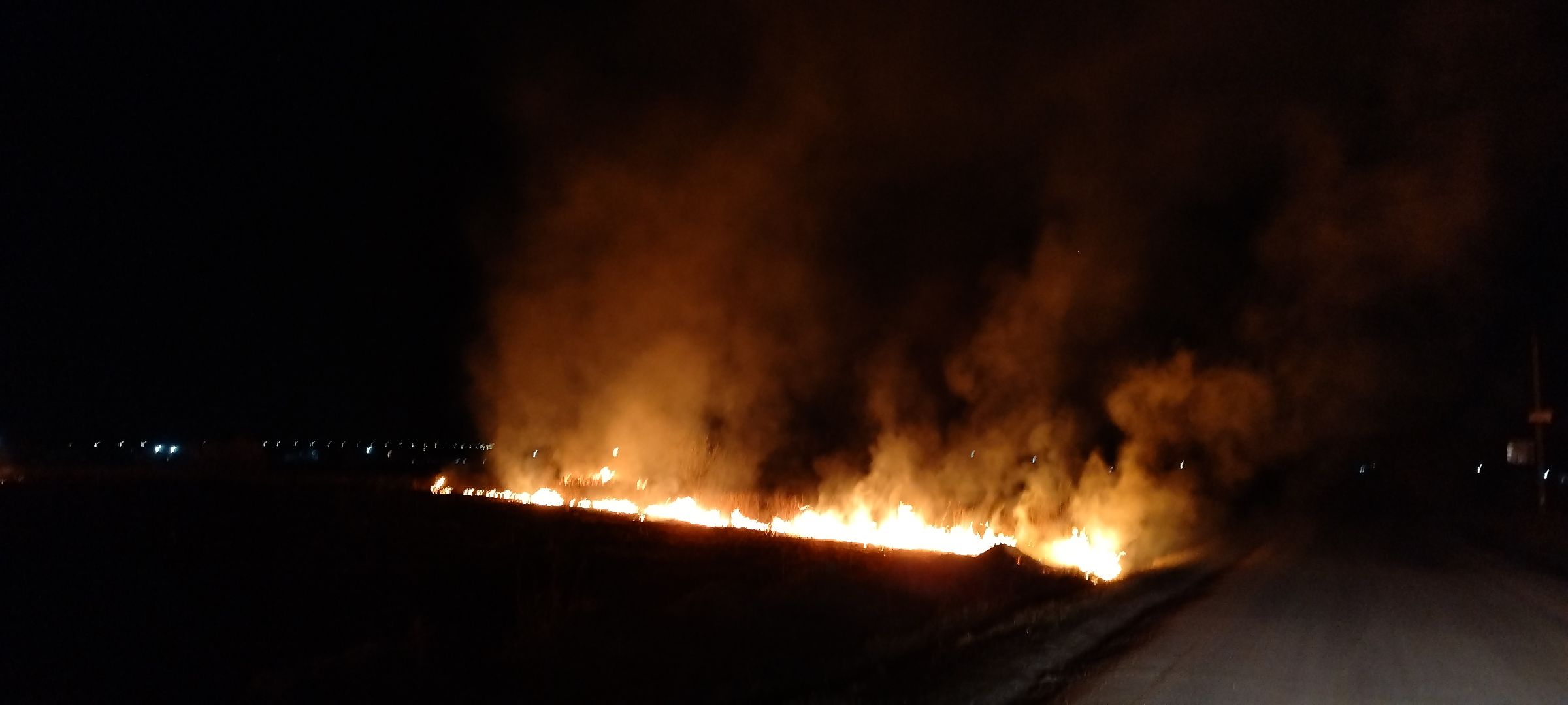 Пал, трава, возгорание