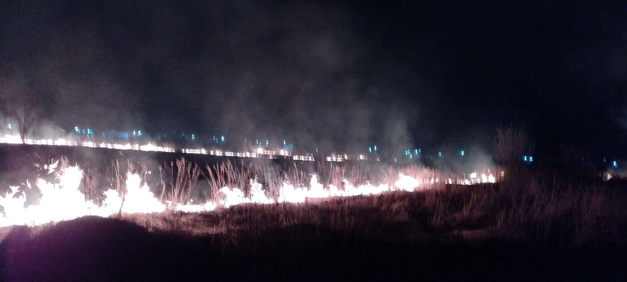 Пал, трава, возгорание