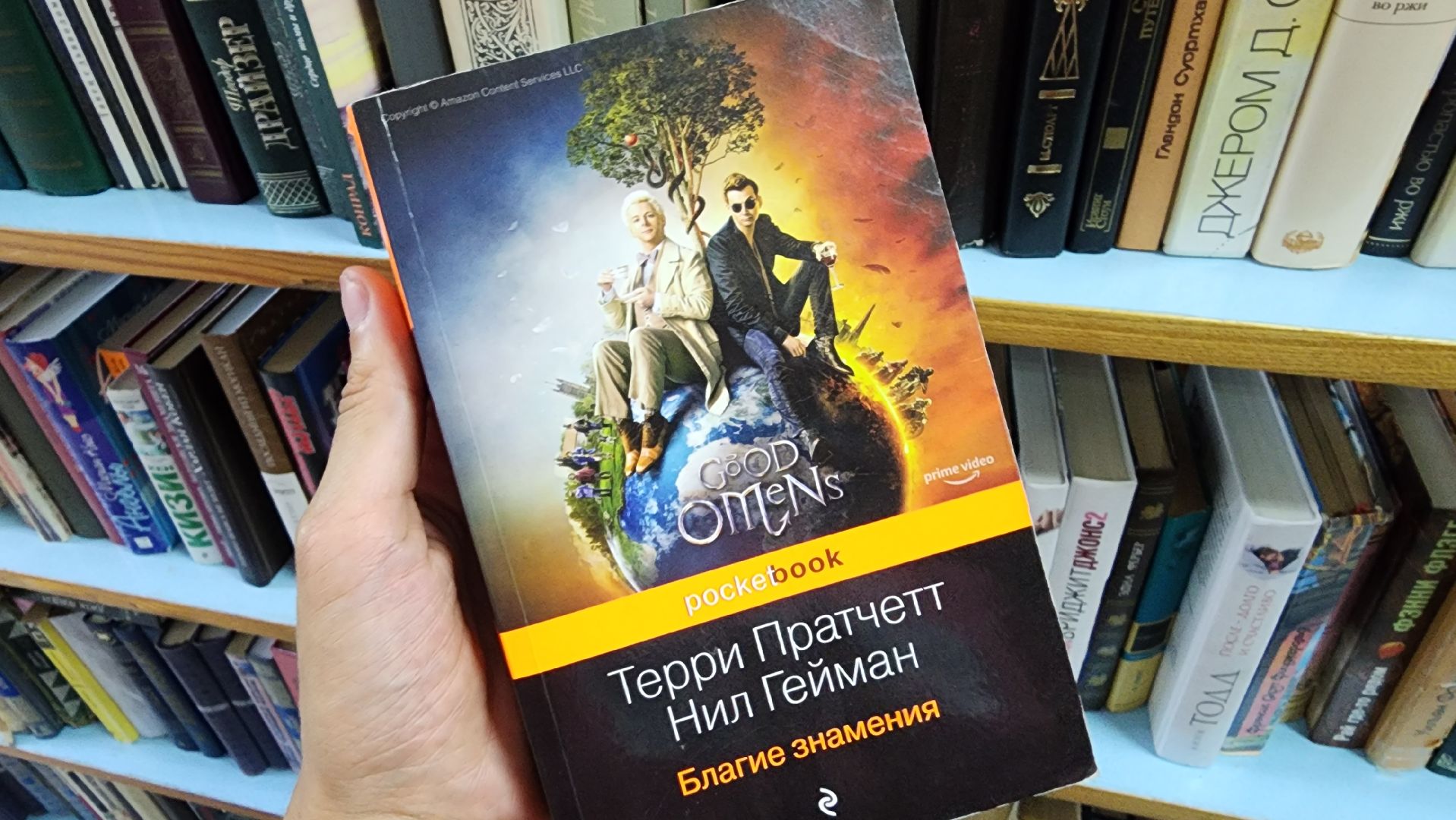 библиотека, библиотека имени Пушкина, чтение, Ногинск, Богородский городской округ,
