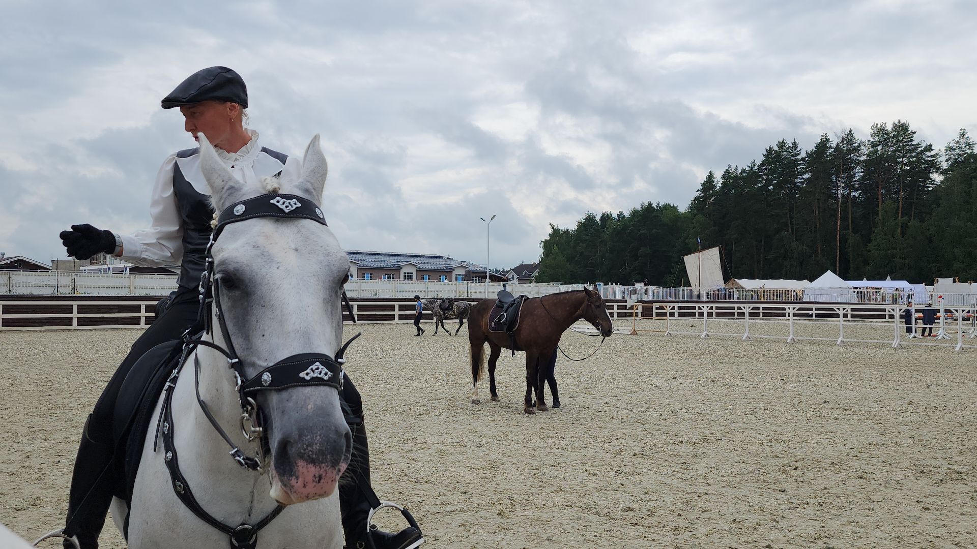 Иваново поле, Международный конный фестиваль, лошади, село Ивановское, городской округ Черноголовка,