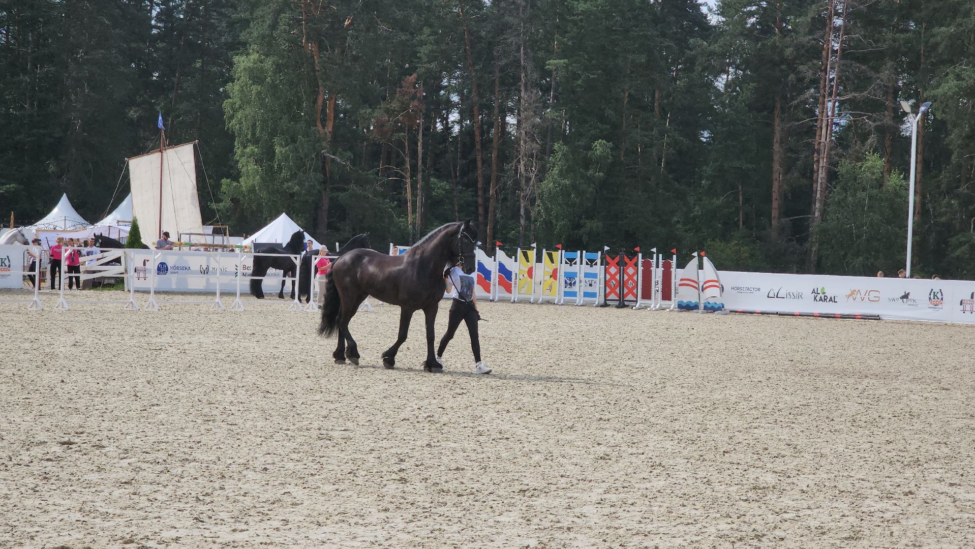 Иваново поле, Международный конный фестиваль, лошади, село Ивановское, городской округ Черноголовка,