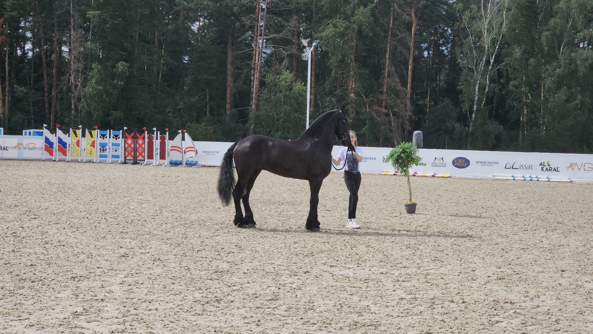 Иваново поле, Международный конный фестиваль, лошади, село Ивановское, городской округ Черноголовка,