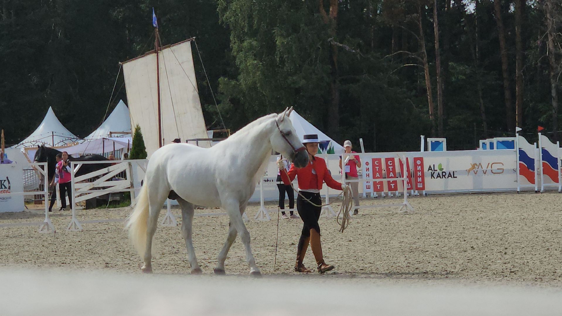 Иваново поле, Международный конный фестиваль, лошади, село Ивановское, городской округ Черноголовка,