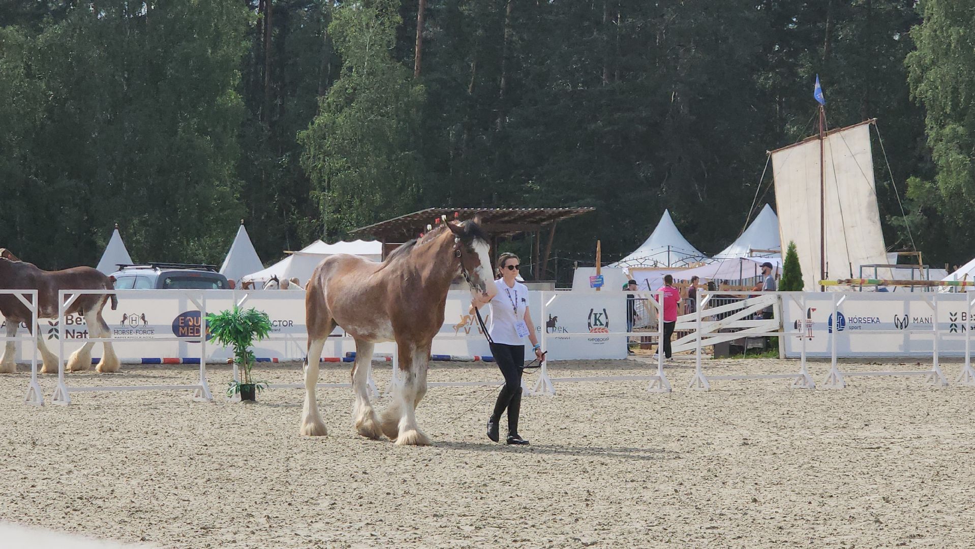 Иваново поле, Международный конный фестиваль, лошади, село Ивановское, городской округ Черноголовка,