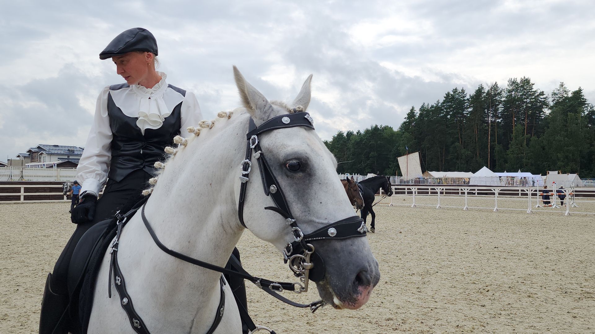 Иваново поле, Международный конный фестиваль, лошади, село Ивановское, городской округ Черноголовка,