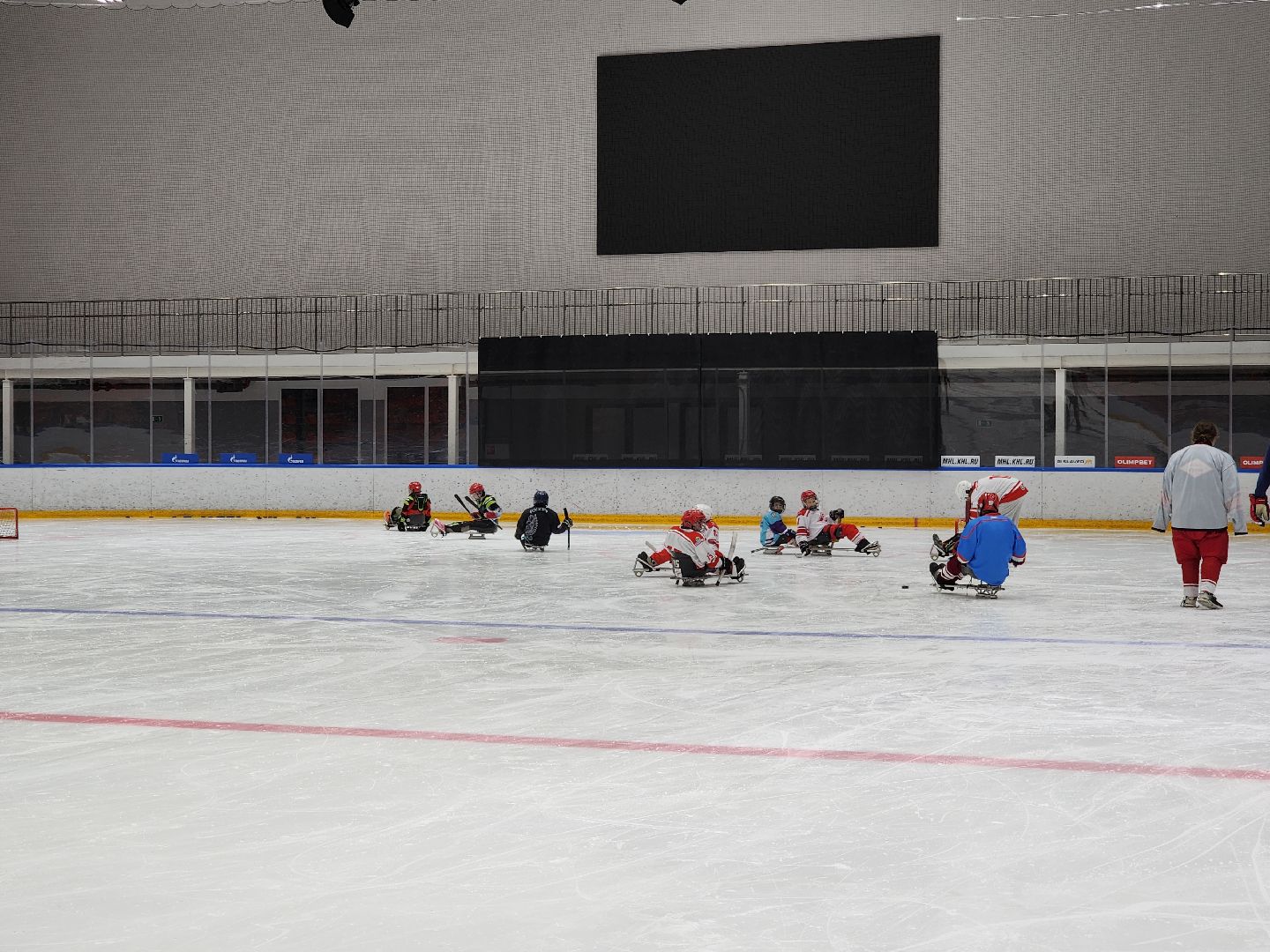 красногорск, ледовая арена, следж-хоккей, инвалид,