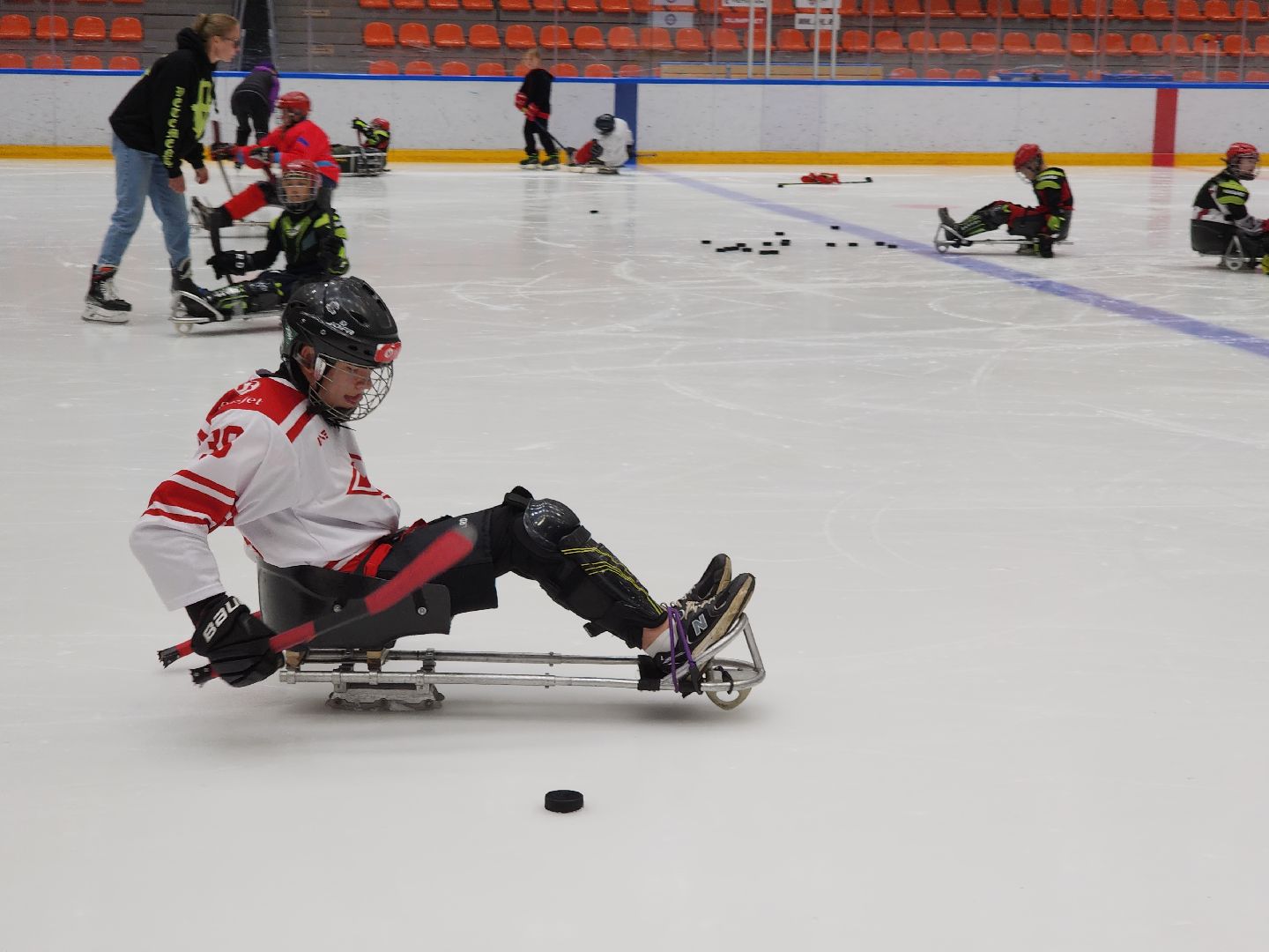 красногорск, ледовая арена, следж-хоккей, инвалид,