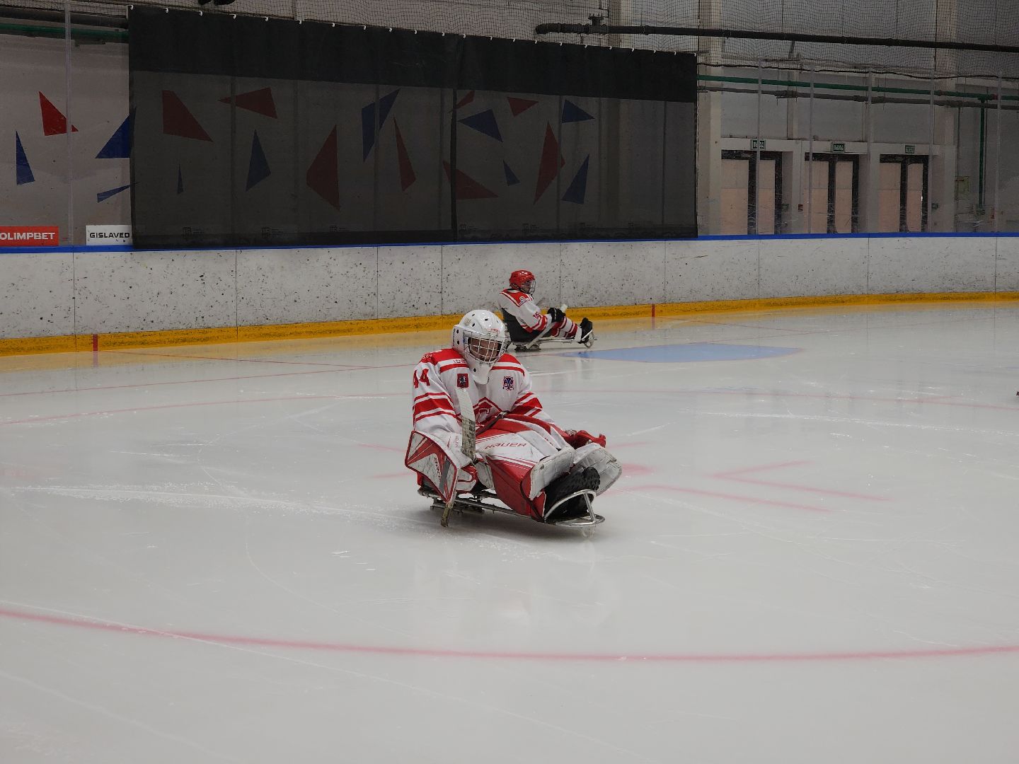 красногорск, ледовая арена, следж-хоккей, инвалид,