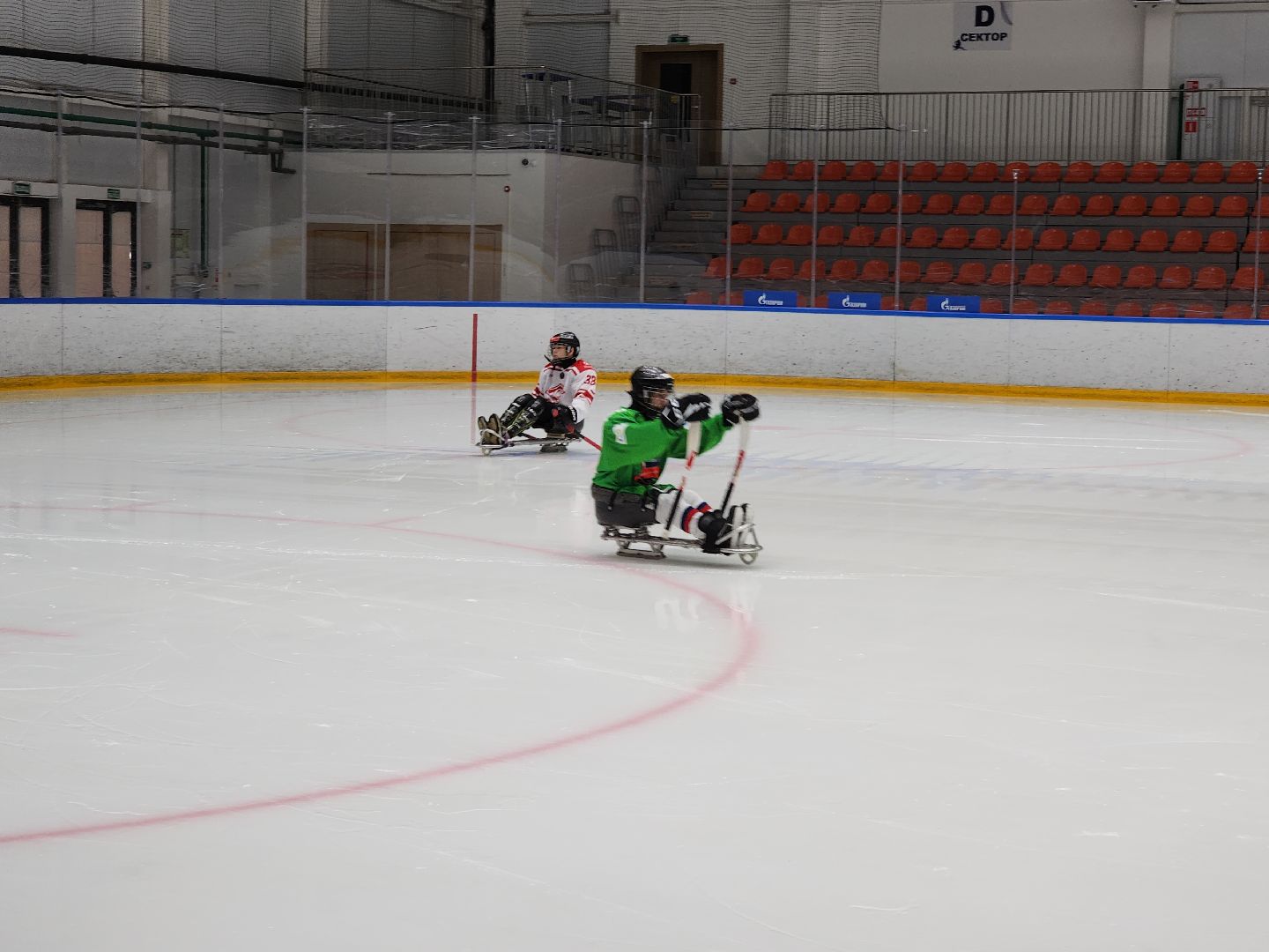 красногорск, ледовая арена, следж-хоккей, инвалид,