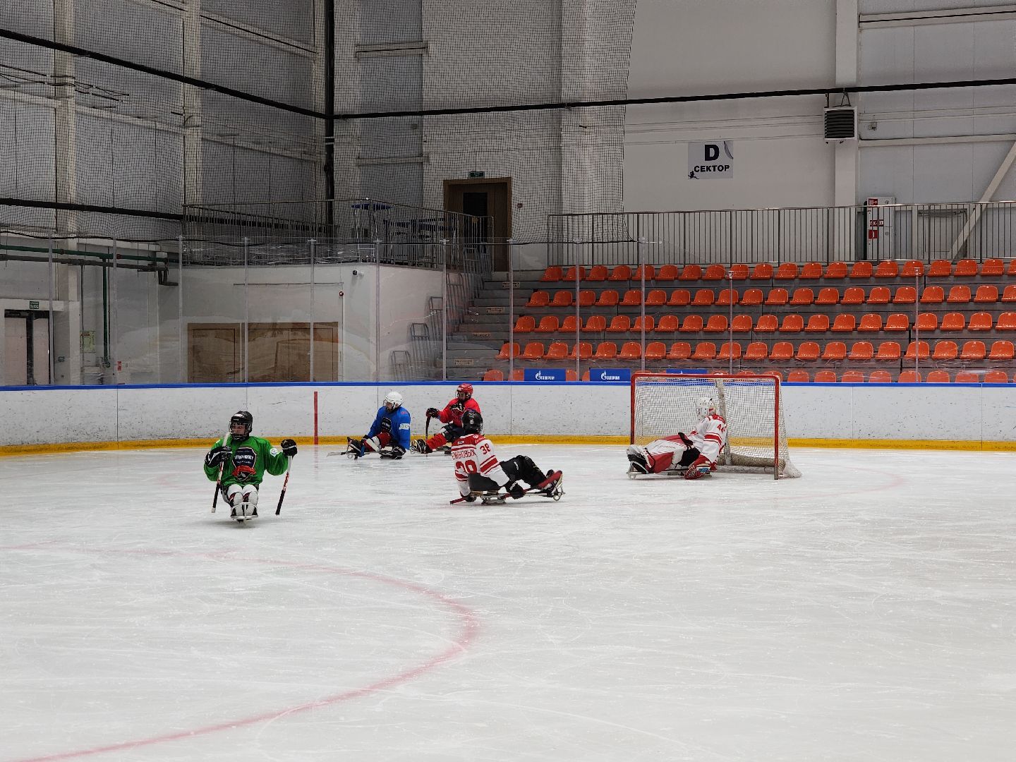 красногорск, ледовая арена, следж-хоккей, инвалид,
