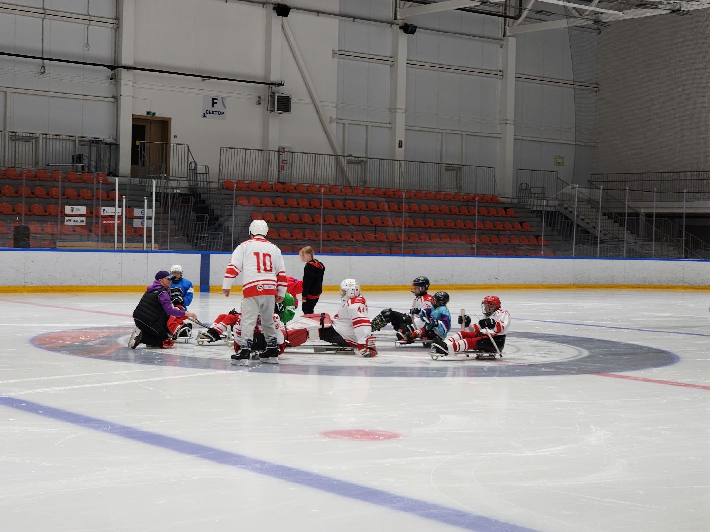 красногорск, ледовая арена, следж-хоккей, инвалид,