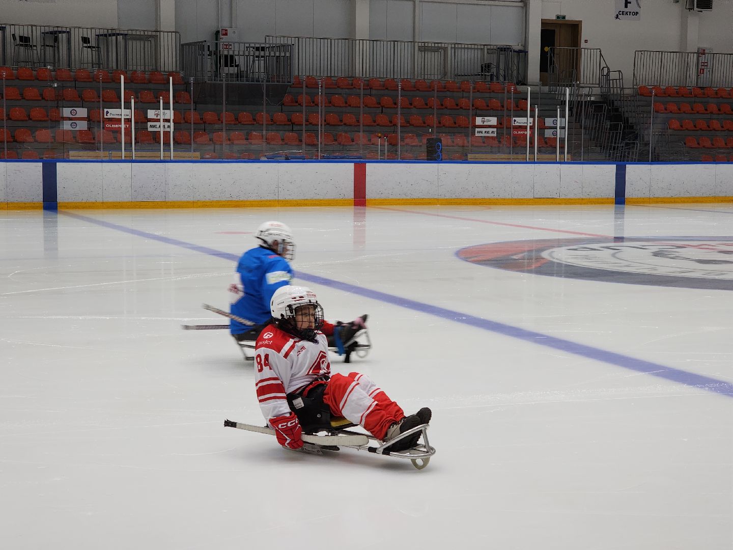 красногорск, ледовая арена, следж-хоккей, инвалид,