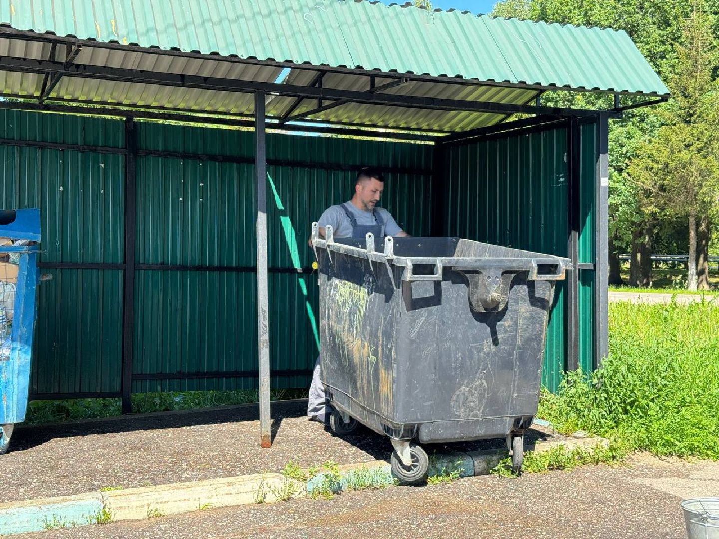 контейнерная площадка, управляющая компания, сотрудник, чистота, баки,