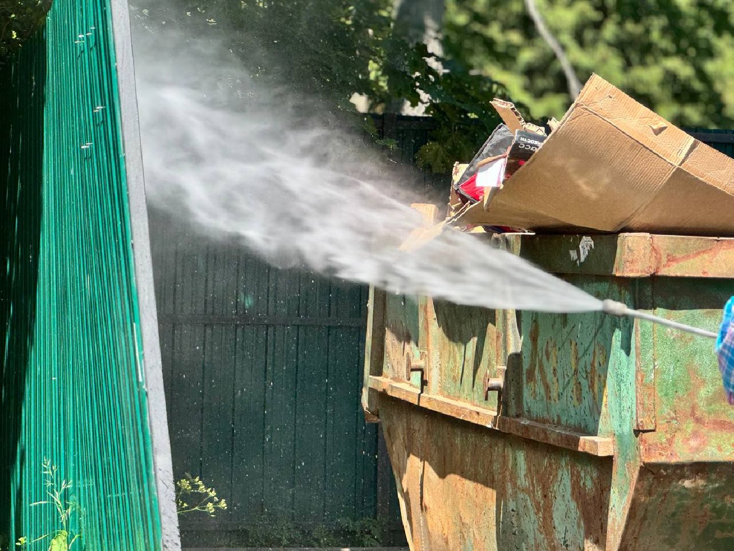 контейнерная площадка, управляющая компания, сотрудник, чистота, баки,