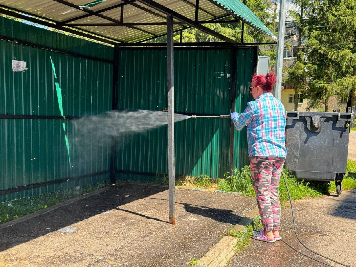 контейнерная площадка, управляющая компания, сотрудник, чистота, баки,