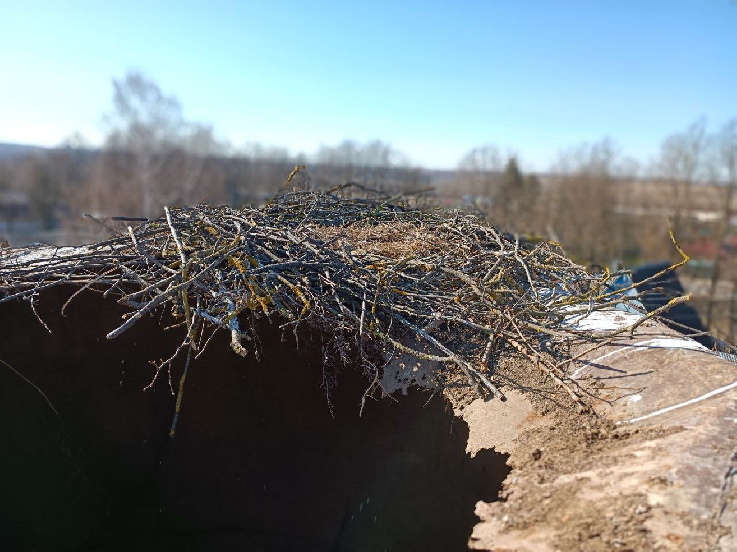 Можайск, Можайскийгородскойокруг, Подмосковье, экология, аисты, гнездо, спасли, краснокнижныептицы