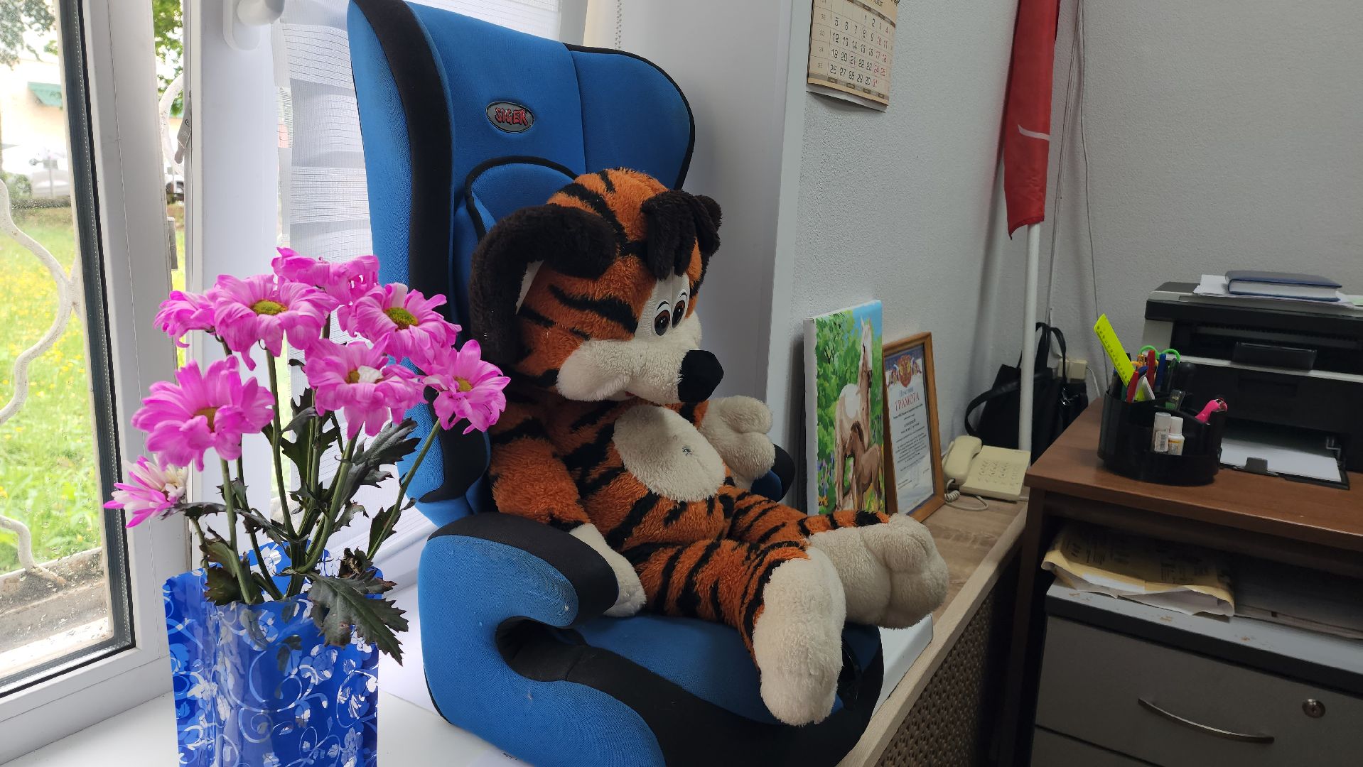 госавтоинспекция, Водитель, Трезвый водитель, Лобня,