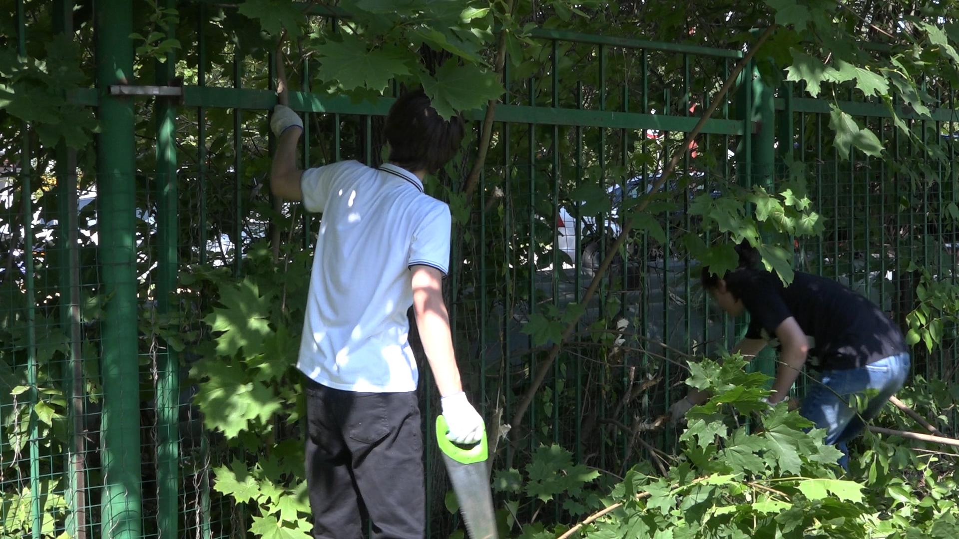 школа Попова, трудовые бригады, летняя подработка, Власиха школа Попова, летняя трудовая бригада,