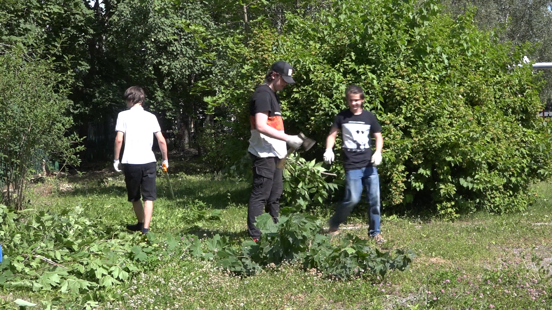 школа Попова, трудовые бригады, летняя подработка, Власиха школа Попова, летняя трудовая бригада,