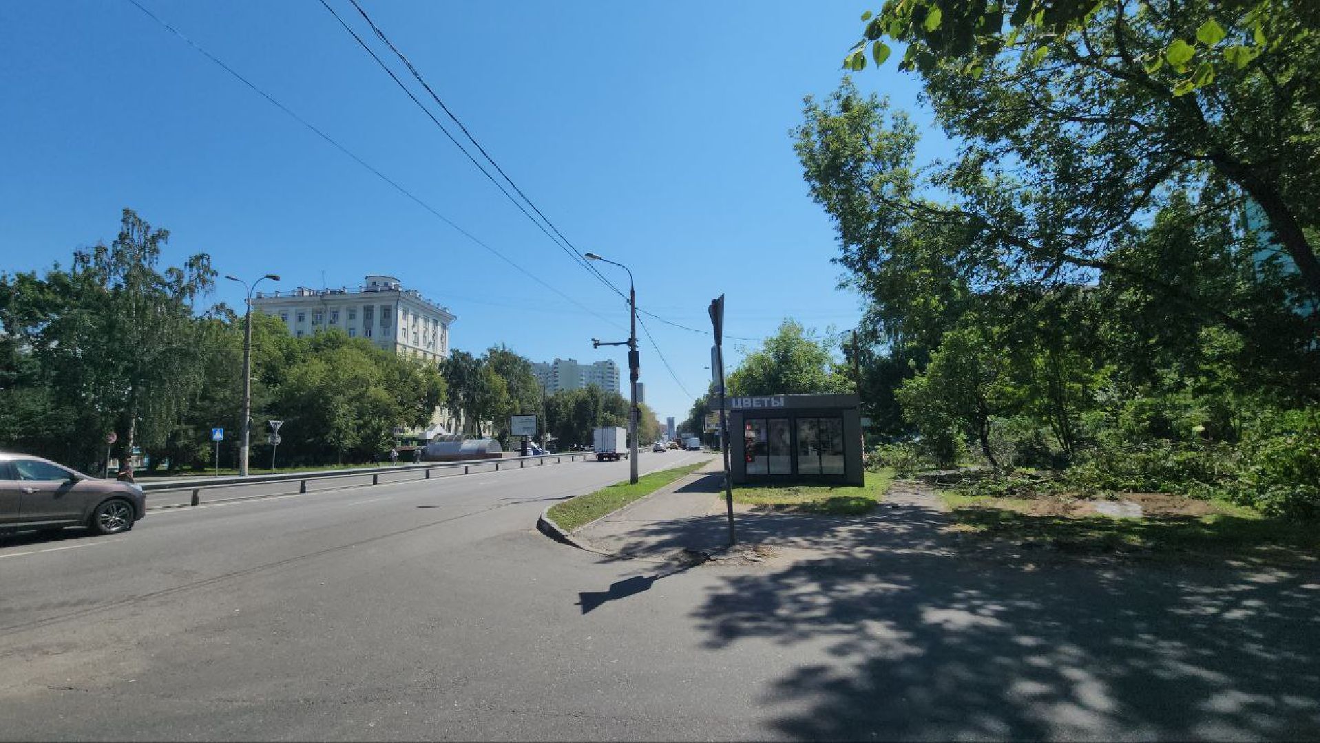 люберцы, спил деревьев, жкх и благоустройство,