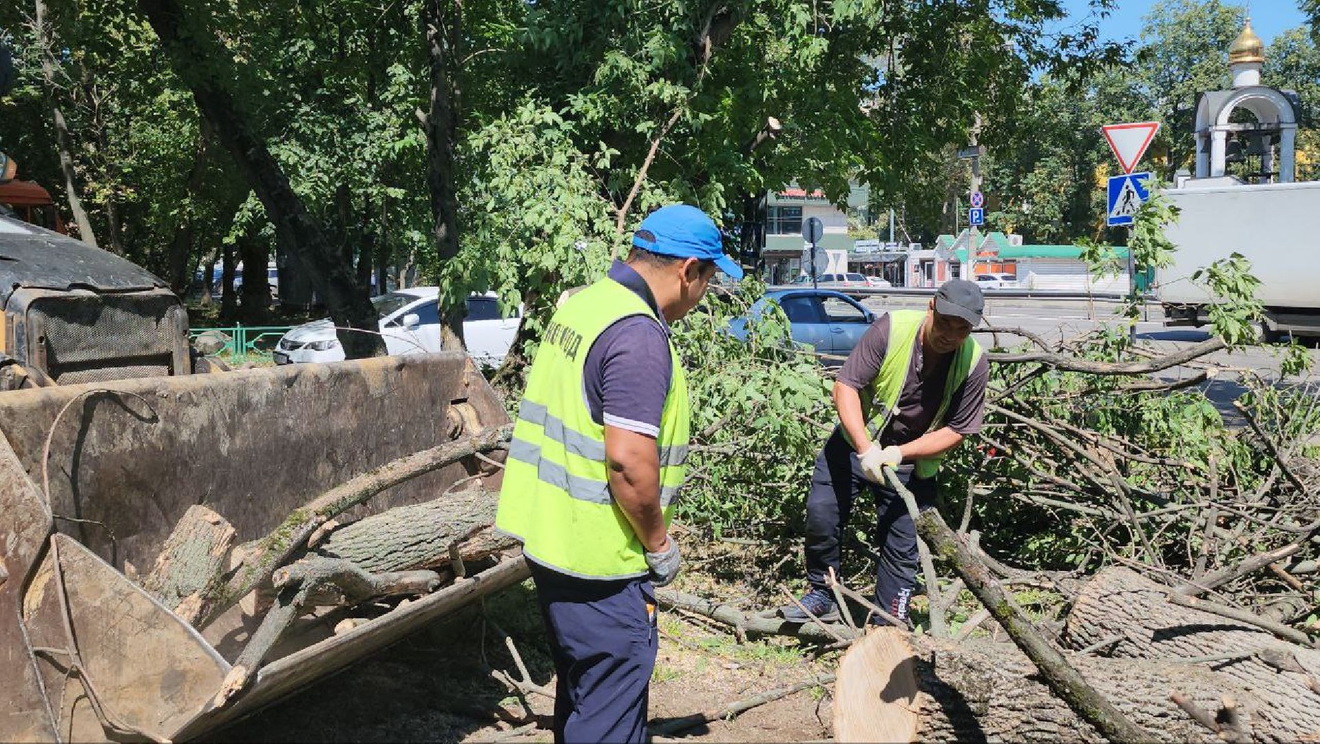 люберцы, спил деревьев, жкх и благоустройство,