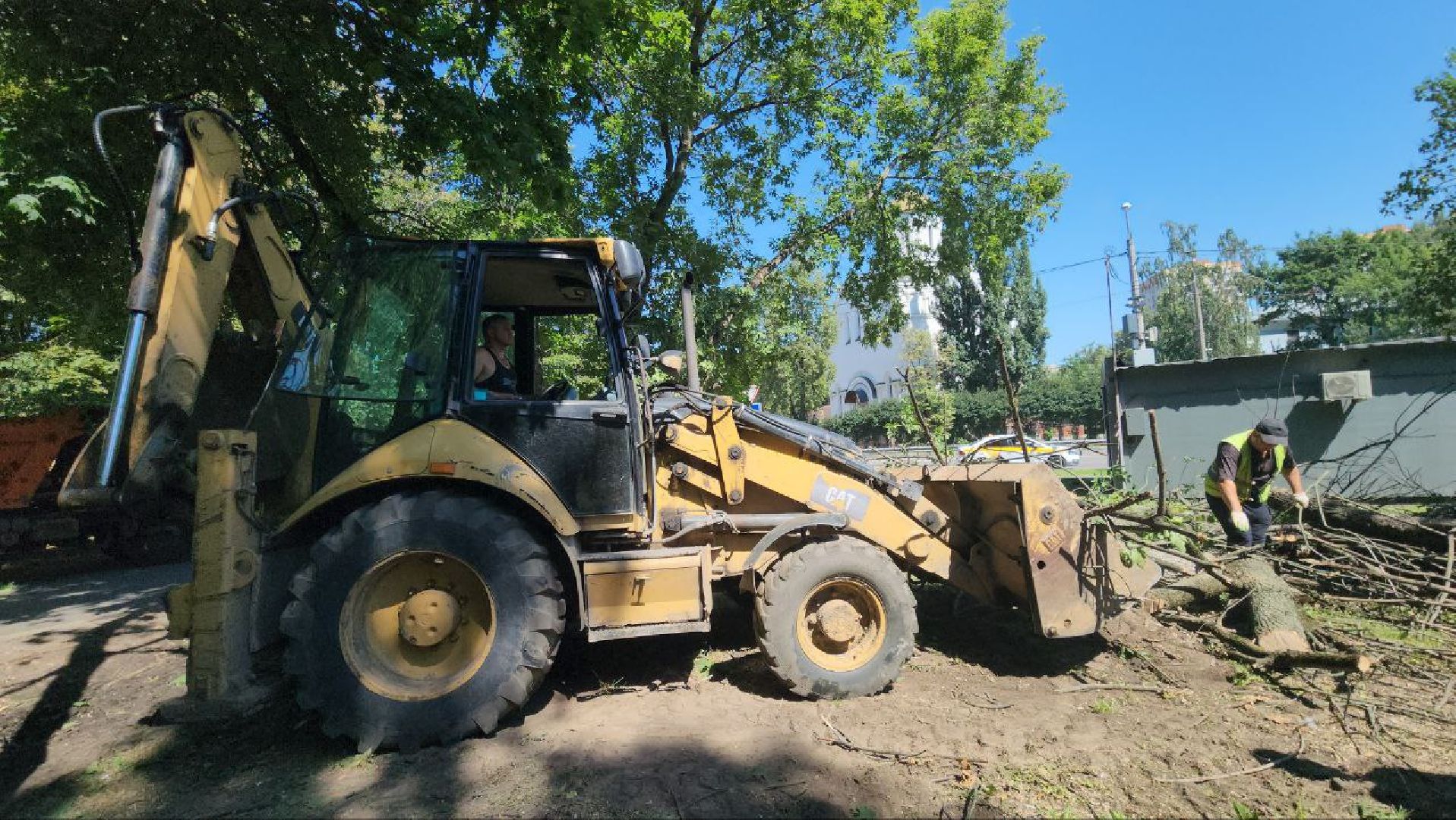 люберцы, спил деревьев, жкх и благоустройство,