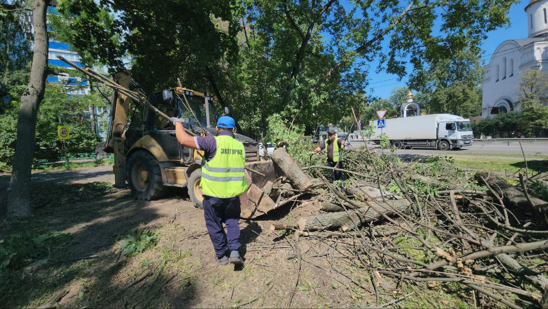 люберцы, спил деревьев, жкх и благоустройство,