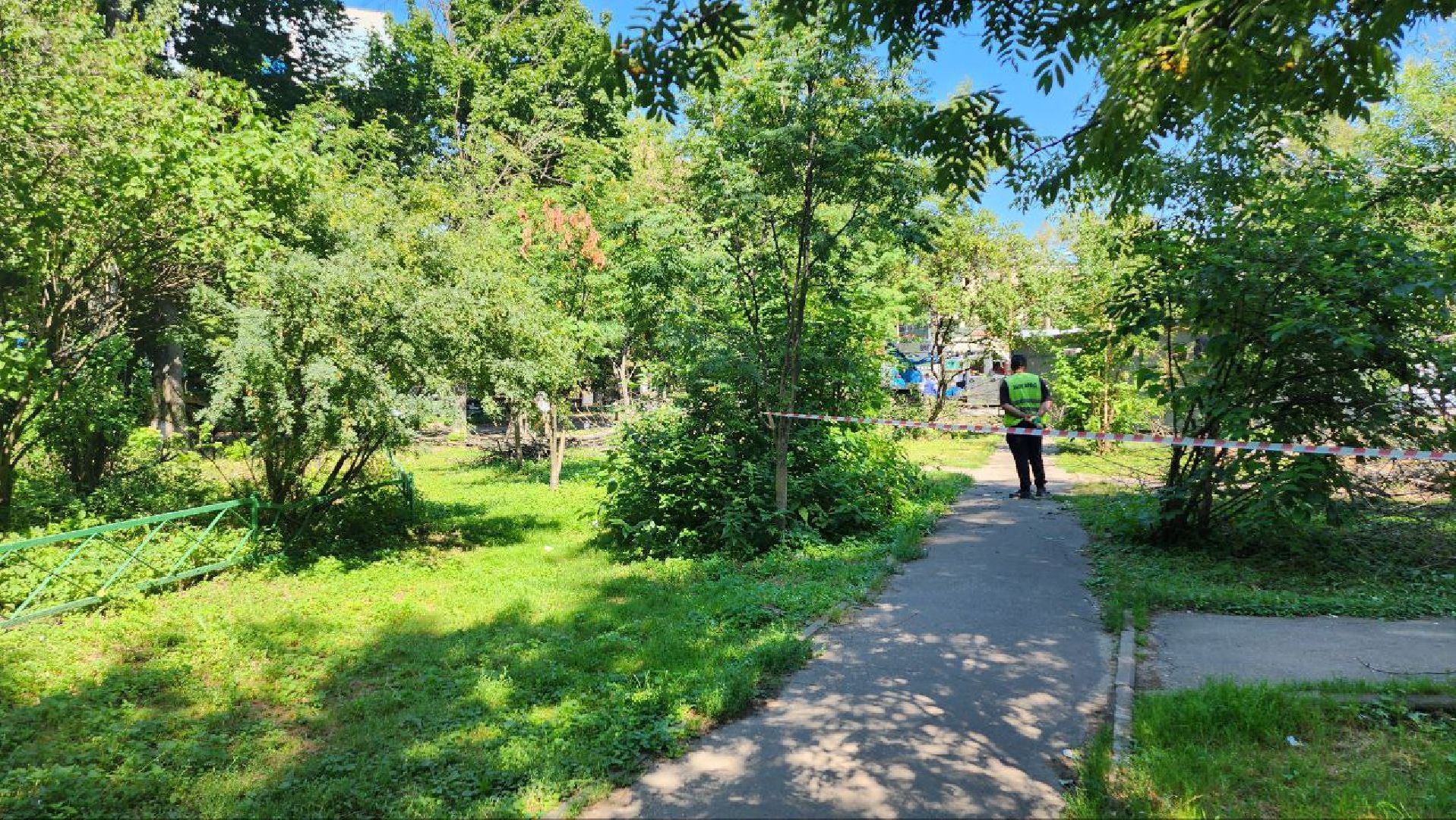 люберцы, спил деревьев, жкх и благоустройство,