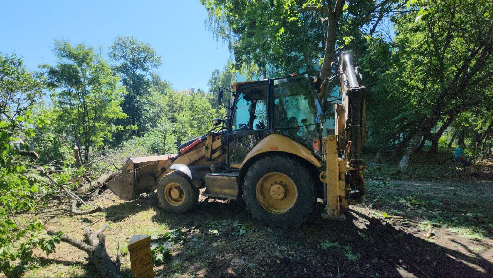 люберцы, спил деревьев, жкх и благоустройство,