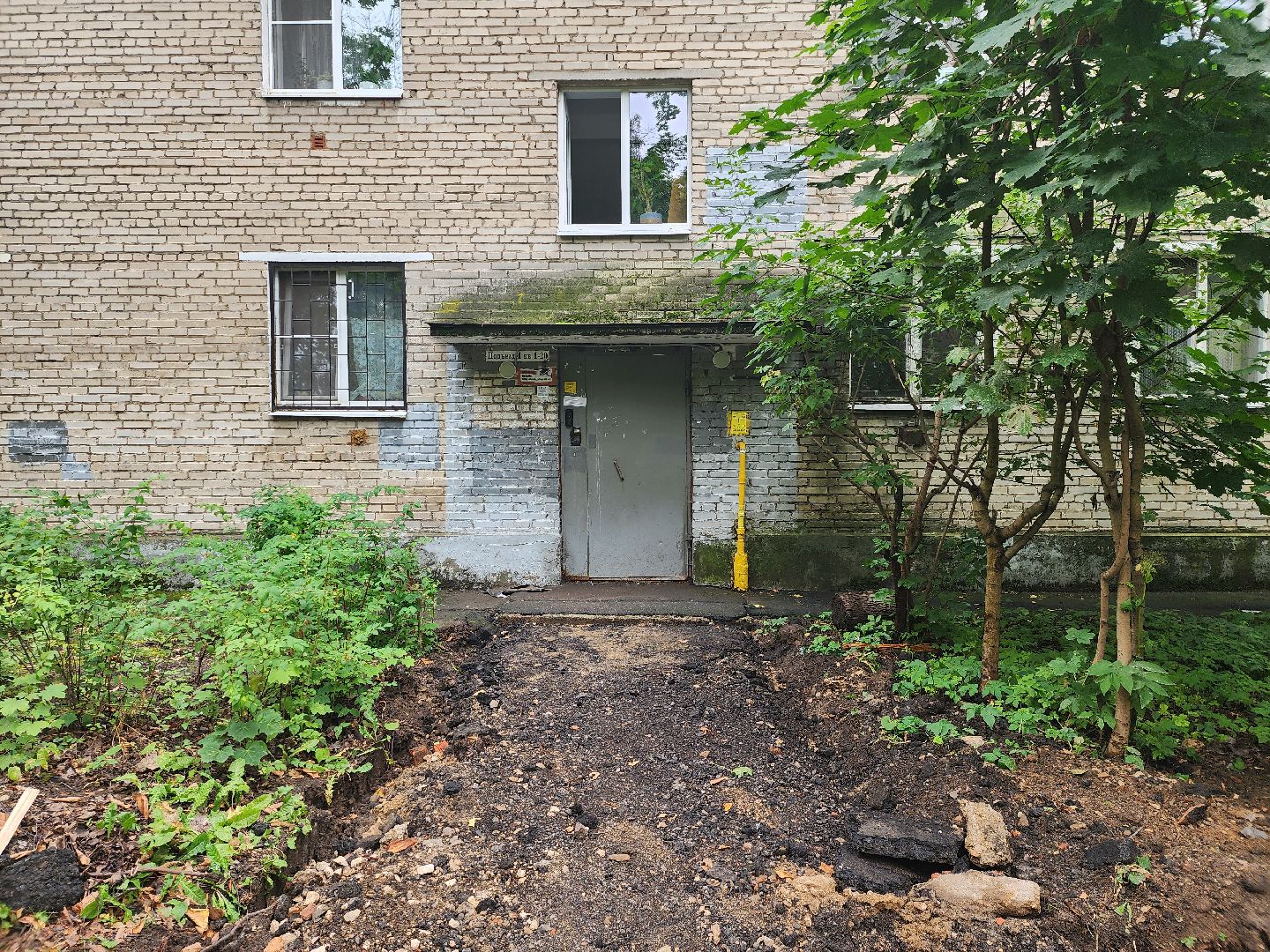 пушкинский,