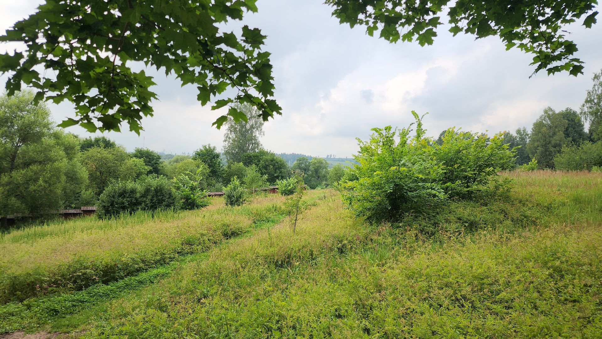 Звенигород, История, Культура,