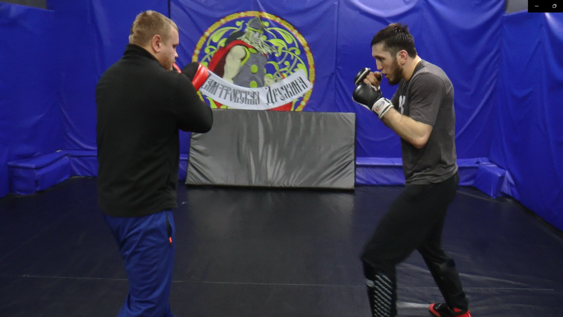 Дмитров, Дмитровская дружина, Чемпион ММА, Тагир Хибиев,